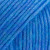 37 blauer vogel